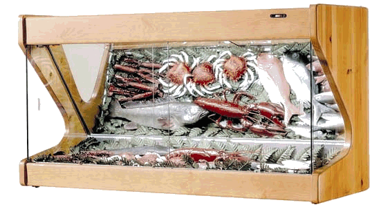 Sea Food Show Case Wood